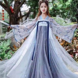 Traditional Hanfu Women Cosplay Robe Dance Set Fairy Costumes Clothing