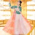 Chinese Traditional Hanfu Women Festival Outfit Fairy Ancient Performance Dance Costumes Printed Pleated Skirt Suit