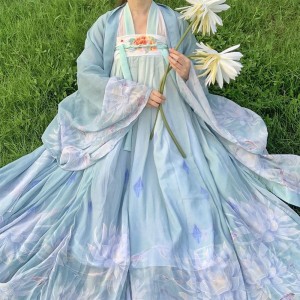 Ancient Chinese Hanfu Costumes Dancer Traditional Chinese Hanfu Dresses Tang Dynasty Clothing Women Chinese Stage Outfits