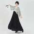 CozyForms Tang Dynasty Modernized Hanfu Dresses for Women Traditional Chinese Skirt Summer Autumn Daily Style