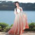 Chinese Hanfu Tang Dynasty Summer Female Print Embroidered Ancient Cosplay Hanfu Costumes Fairy Chiffon Hanfu Set