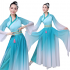 Hanfu Adult Female Daily Wear Chinese Elements Costume