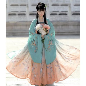 Womens Traditional Hanfu Dresses Chinese Ancient Costumes