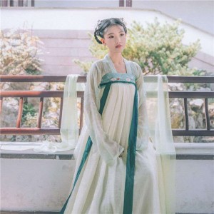 Womens Dance Costumes Princess Dresses Girl Skirts Chinese Traditional Floral Embroidered Set