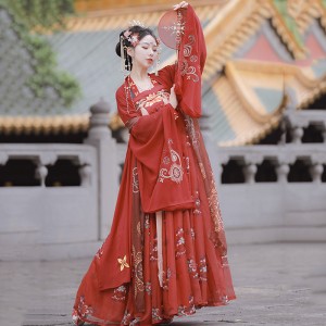 Chinese Embroidery Hanfu Women Tang Dynasty Outfits