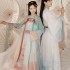 Chinese Traditional Hanfu Dresses Women Ancient Tang Dynasty Princess Costumes Tang Suit Folk Dance Stage Performance daily hanfu