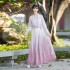 Chinese Traditional Hanfu Costumes Women Elegance Tang Dynasty Princess Dresses Ancient Folk Tang Suit Fairy Clothing