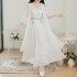Ancient Fairy Adult Hanfu Spring Summer Women National Embroidery Chiffon Dresses Two-piece Suit
