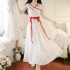 Ancient Fairy Adult Hanfu Spring Summer Women National Embroidery Chiffon Dresses Two-piece Suit