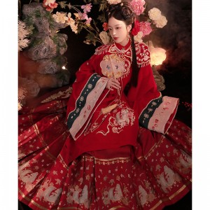 Chinese Traditional Dresses Hanfu Dresses Set Women Ming Dynasty Stand-up Collar Gown Red Wedding Embroidery Horse Face Skirt