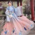 Traditional Chinese Clothing Hanfu Set Women Chic Embroidery Fairy Dresses Cosplay Costumes Ancient Oriental Princess Outfit