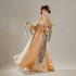 Chinese Ancient Classic Dance Gown Zither Performance Dresses Women Elegant Fairy Print Hanfu Dresses Cosplay Clothes