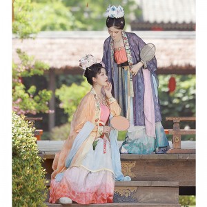 Summer Chinese Ancient Embroidery Hanfu Robe Dresses Women Carnival Cosplay Retro Song Dynasty Cp Sister Costumes