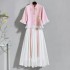 Summer Women Hanfu Chinese Blue White Pleated Skirt Dresses Plus Size JK Cosplay Costumes Traditional Clothing