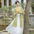 Novelty Hanfu Women Chinese Song Dynasty Costumes Ancient Hanfu Chinese Traditional Dresses Pleated Skirt Cosplay