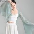 Chiffon Top Hanfu Costumes National Female Chinese Classical Dance Costumes Elegant Practice Sexy Tops Performance Clothes