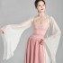Chiffon Top Hanfu Costumes National Female Chinese Classical Dance Costumes Elegant Practice Sexy Tops Performance Clothes