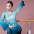 V Neck Modern Dance Long Sleeve Classical Dancewear National Tops Hanfu Blouse Loose Hem Yoga Practice Clothing Adults