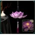 Chinese luminous lotus tassel lantern traditional dance ornaments vintage festival cosplay photography accessories
