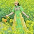 Women chinese traditional hanfu Dresses national flower embroidery Dresses retro performance Dresses elegant folk dance suit