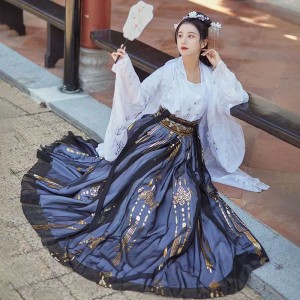 Chinese Traditional Costumes Hanfu Female Princess Fairy Skirt Elegant Fashion Trend Girl Asian Retro Dresses Cosplay