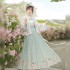 Spring Summer Princess Fairy Light Blue Floral Print Dresses Chinese Traditional Hanfu Cosplay Costume