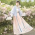 Spring Summer Princess Fairy Light Blue Floral Print Dresses Chinese Traditional Hanfu Cosplay Costume