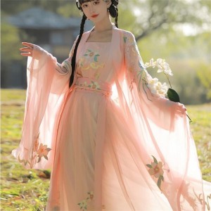Women Hanfu Chinese Tang Dynasty Traditional Cosplay Pink Floral Embroidery Dresses Costume