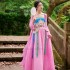Chinese traditional folk Costumes hanfu national flower embroidery strap Dresses elegant oriental vintage Dresses