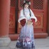 2 Colors Traditional Chiense Hanfu Cloak Dresses Set Gorgeous Vintage Horse Face Skirt Girls Women Year Christmas Suit