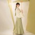 CozyForms Wei Jin Dynasty Modernized Hanfu Dresses Women Green Wide Sleeves Flowing Fairy Skirt Spring Autumn Daily Style