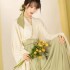 CozyForms Wei Jin Dynasty Modernized Hanfu Dresses Women Green Wide Sleeves Flowing Fairy Skirt Spring Autumn Daily Style