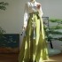Song Dynasty Hanfu Women Chinese Dresses Traditional Ma Mian Skirt Autumn Winter Daily Style