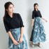 Festival Hanfu Clothing Crane Printed Folk Dance Costumes Top Skirt Set Traditional Chinese Clothing Women Dress