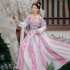 Hanfu Dresses Women Ancient Chinese Traditional Hanfu Outfit Female Carnival Cosplay Costumes Hanfu Dance Dresses Purple red Sets
