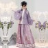 Hanfu Clothe Ming Dynasty Women Traditional Chinese Clothing Stand collar Pleated Skirt Outfit Embroidery Ancient Clothing