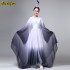 Water Sleeves Yangko Dance Costumes Adults Ancient National Hanfu Yangko Performance Long Sleeve Classical Fairy Folk Dance