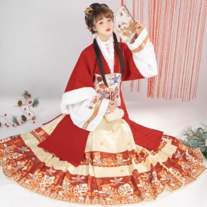 Year Dresses Ming System Hanfu Female Supplement Clothing Mid length Womens Horse Face Skirt Thickened Winter Style