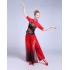 Chinese Hanfu Classical Dance Costumes for Women