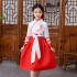 Hanfu Costume Dress Women Improved Hanfu Daily Short Sleeve
