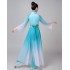Hanfu Adult Female Daily Wear Chinese Elements Costume