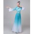 Hanfu Adult Female Daily Wear Chinese Elements Costume