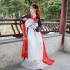 Ancient Chinese Hanfu Costume for Princess Tang Dynasty