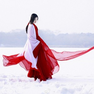 Women Chinese Traditional Hanfu Dresses Ancient Elegant Flower Embroidery Dance Wear Fairy Water Sleeve Mesh Hanfu
