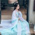 High Quality Hanfu Female Embroidery Fairy Cosplay Costumes